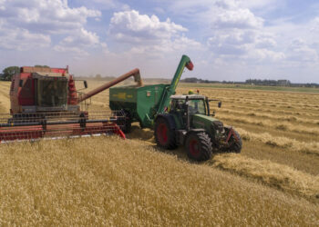 Ολοκληρώνεται ο θερισμός στον Εορδαϊκό κάμπο. (της Κούλας Πουλασιχίδου)