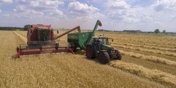 Ολοκληρώνεται ο θερισμός στον Εορδαϊκό κάμπο. (της Κούλας Πουλασιχίδου)