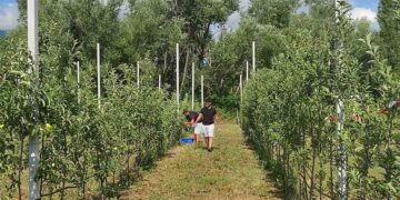 Ολοκληρώθηκε το στραγγιστικό δίκτυο στο Αγρόκτημα του Πανεπιστημίου Δυτικής Μακεδονίας