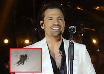 Όταν πας Αργυρό, αλλά οι κατσαρίδες είναι περισσότερες από το κοινό - Το χιουμοριστικό βίντεο στο Τικ-Τοκ που "βγάζει" πολύ γέλιο