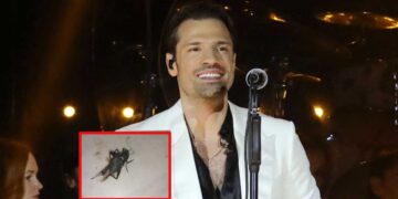 Όταν πας Αργυρό, αλλά οι κατσαρίδες είναι περισσότερες από το κοινό - Το χιουμοριστικό βίντεο στο Τικ-Τοκ που "βγάζει" πολύ γέλιο