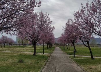 Πτολεμαΐδα: Για ένα χρόνο σε ιδιώτη οι υπηρεσίες συντήρησης του πρασίνου στο Πάρκο Εκτάκτων Αναγκών