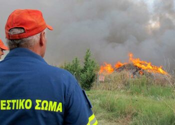 Πρόστιμο 1.406 ευρώ σε 2 άτομα που ευθύνονται για την πυρκαγιά στην Βλάστη