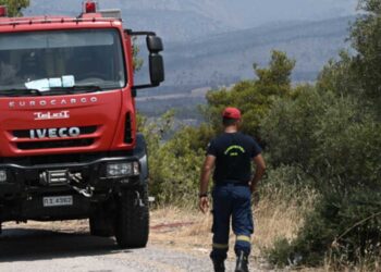 Πρόστιμο 1.546,88 ευρώ σε άντρα από την Καστοριά για πρόκληση πυρκαγιάς στο Άργος Ορεστικό