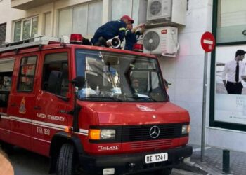 Κοζάνη: Περιστέρια είχαν εγκλωβιστεί σε κλιματιστικά με σίτα – Τα απελευθέρωσε η Πυροσβεστική