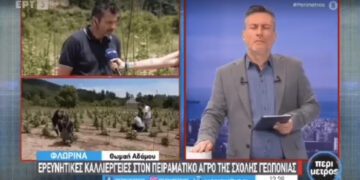 Στον πειραματικό αγρό της Σχολής Γεωπονικών Επιστημών του ΠΔΜ γίνονται ερευνητικές καλλιέργειες σε σίκαλη, φάβα, φασόλι και συγκαλλιέργειας