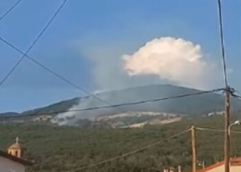 Τέλος καλό όλα καλά για την πυρκαγιά στη Βλάστη
