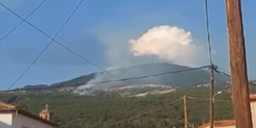 Τέλος καλό όλα καλά για την πυρκαγιά στη Βλάστη