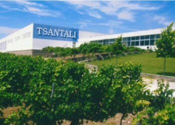 Τα επόμενα βήματα για την Τσάνταλη... και η εμπλοκή Αντετοκούνμπο