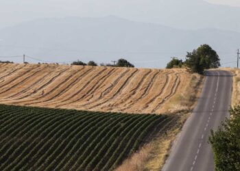 Θρίλερ στην Καστοριά με νεκρό 37χρονο σε αγροτική περιοχή