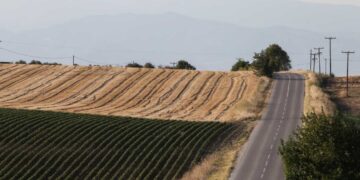 Θρίλερ στην Καστοριά με νεκρό 37χρονο σε αγροτική περιοχή