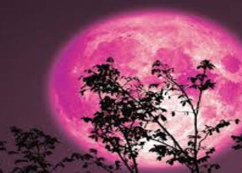 ΤΙ ΠΡΕΒΕΥΕΙΣ; ΤΙ ΚΙ ΑΠΟ ΠΟΙΟΥΣ ΠΕΡΙΜΕΝΕΙΣ; - Της Βασιλείας-Σίσσυ Ραμπίδου