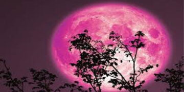 ΤΙ ΠΡΕΒΕΥΕΙΣ; ΤΙ ΚΙ ΑΠΟ ΠΟΙΟΥΣ ΠΕΡΙΜΕΝΕΙΣ; - Της Βασιλείας-Σίσσυ Ραμπίδου