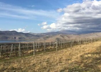 To Κτήμα Κυρ Γιάννη με βραβευμένους αμπελώνες στο Αμύνταιο το πρώτο ελληνικό οινοποιείο που εντάσσεται στο International Wineries for Climate Action