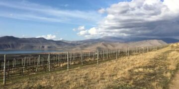 To Κτήμα Κυρ Γιάννη με βραβευμένους αμπελώνες στο Αμύνταιο το πρώτο ελληνικό οινοποιείο που εντάσσεται στο International Wineries for Climate Action