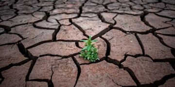 Ιούνιος 2024: Απουσία βροχών και ξηρασία στο μεγαλύτερο μέρος της χώρας