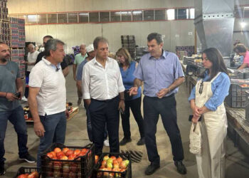Επίσκεψη Αμανατίδη σε αγροκτήματα της ΠΕ Καστοριάς και ΓΕΟΚ