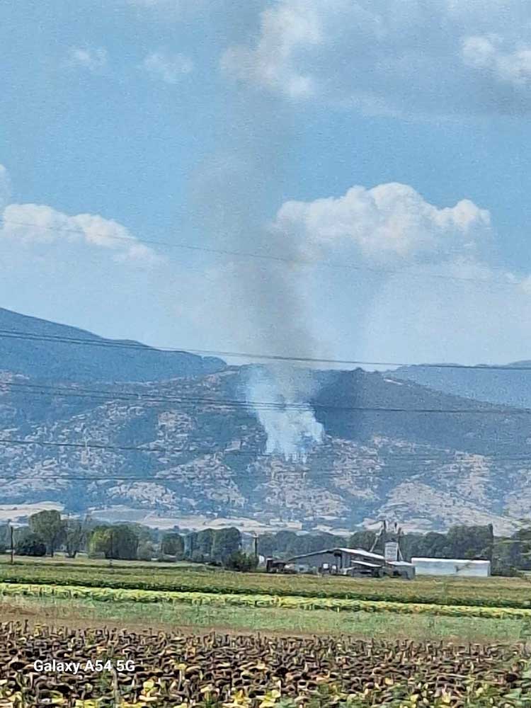 Δασική πυρκαγιά εκδηλώθηκε πριν από λίγη ώρα, σε έκταση που βρίσκεται πίσω από την Ιερά Μονή Αγίου Κοσμά του Αιτωλού μεταξύ Άρδασσας - Κρυόβρυσης Εορδαίας (της Κούλας Πουλασιχίδου)