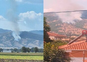 Δασική πυρκαγιά εκδηλώθηκε πριν από λίγη ώρα, σε έκταση που βρίσκεται πίσω από την Ιερά Μονή Αγίου Κοσμά του Αιτωλού μεταξύ Άρδασσας - Κρυόβρυσης Εορδαίας (της Κούλας Πουλασιχίδου)