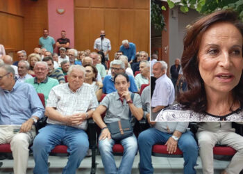 Άννα Διαμαντοπούλου από την Πτολεμαΐδα: “Η κυβέρνηση έχει να απολογηθεί για εγκληματικές ελλείψεις στην περιοχή”