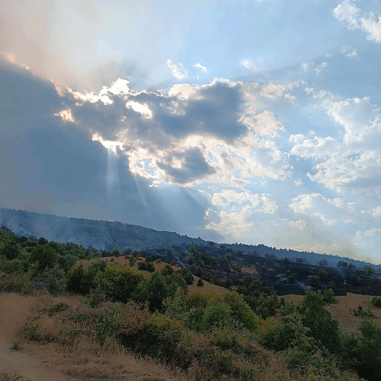 Δίπλα στην Ιερά Μονή Αγίου Κοσμά η φωτιά - Λαμβάνει επικίνδυνες διαστάσεις - Συγκλονιστικά πλάνα ( ρεπορτάζ της Κούλας Πουλασιχίδου )