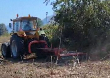 Π.Ε. Καστοριάς: Καθαρισμός βλάστησης στην περιοχή του Δισπηλιού