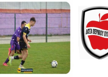 Η Δόξα Βερμίου Πύργων απέκτησε τον Βλάχου Παντελή