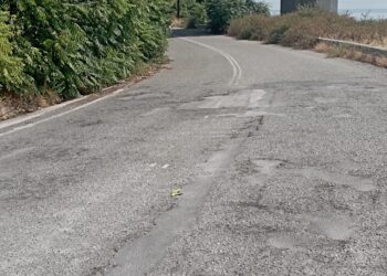 Πρόθεση της Περιφέρειας να αναλάβει το δρόμο Γέφυρα Σερβίων- ΥΗΣ Πολυφύτου- Γκοβεδάρος: «Είναι ακατάλληλος για επαρχιακή οδός αυτή τη στιγμή»