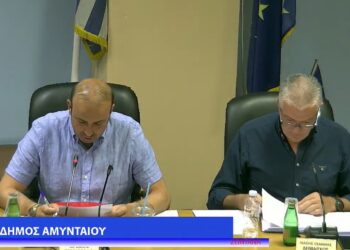 Παγώνουν για το 2025 τα δημοτικά τέλη (καθαριότητας – ηλεκτροφωτισμού) στο Δήμο Αμυνταίου