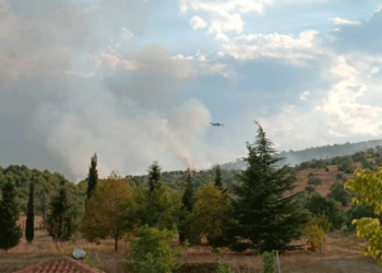 Εξελίξεις στη φωτιά στην Ιερά Μονή Αγίου Κοσμά - Ακόμη 3 μικρά πυροσβεστικά αεροπλάνα επιχειρούν