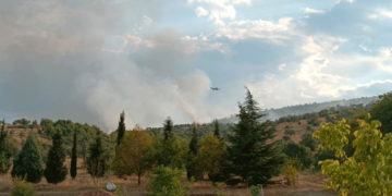 Εξελίξεις στη φωτιά στην Ιερά Μονή Αγίου Κοσμά - Ακόμη 3 μικρά πυροσβεστικά αεροπλάνα επιχειρούν