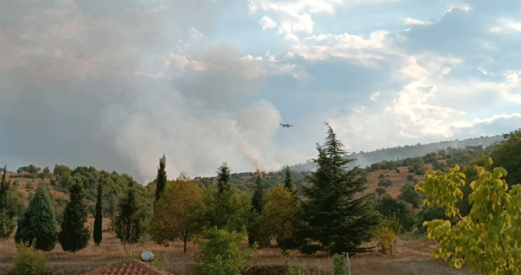 Εξελίξεις στη φωτιά στην Ιερά Μονή Αγίου Κοσμά - Ακόμη 3 μικρά πυροσβεστικά αεροπλάνα επιχειρούν