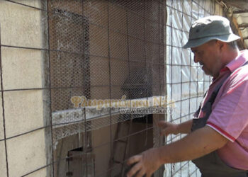 Φλώρινα: Αρκούδα με 3 μικρά αρκουδάκια προκάλεσε ζημιές μέσα στην αυλή οικίας