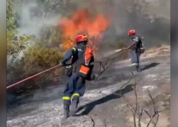 Πυρκαγιά στα Άλωνα Φλώρινας: Επιχείρηση της πυροσβεστικής και με εναέρια