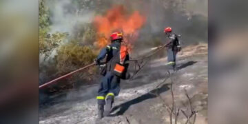 Πυρκαγιά στα Άλωνα Φλώρινας: Επιχείρηση της πυροσβεστικής και με εναέρια