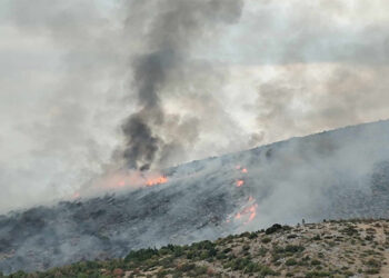 “Φουντώνει” η φωτιά στην περιοχή Παρχάρ των Κομνηνών Εορδαίας – Επιχειρεί ένα εναέριο μέσο (νέες εικόνες)