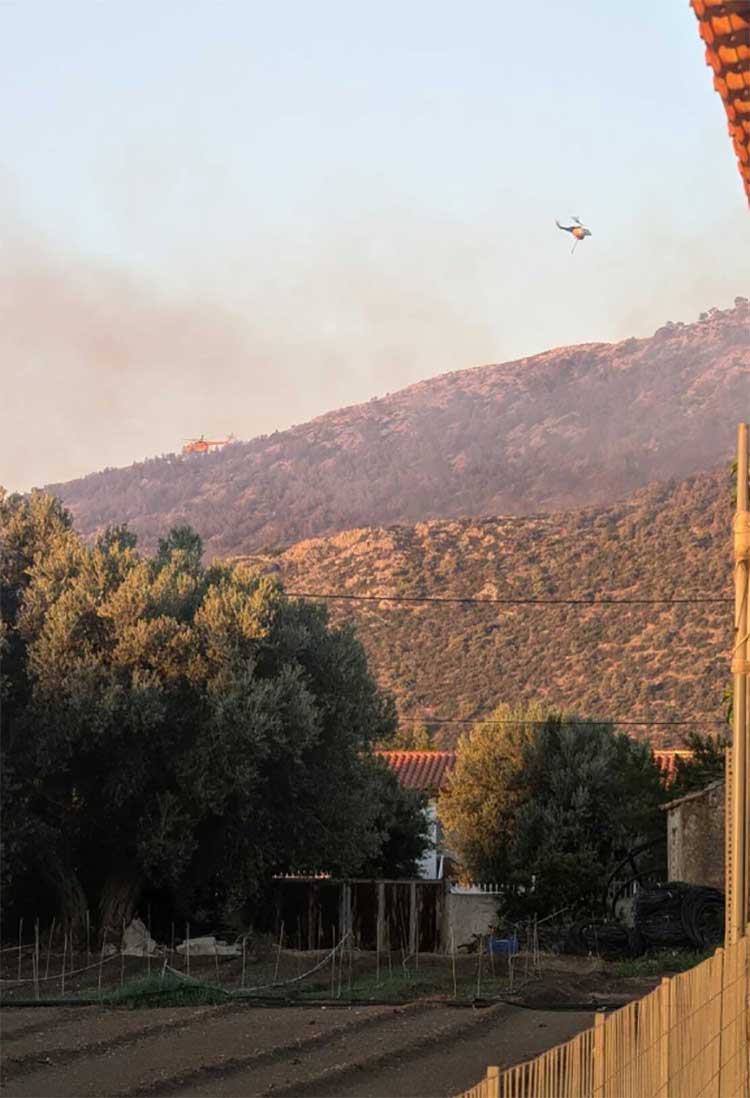 Η φωτιά δεν έσβησε: Διάσπαρτες εστίες στη ΒΑ Αττική, αναζωπυρώση το πρωί της Τετάρτης στη Νέα Μάκρη