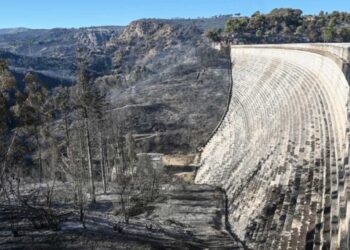 Η φωτιά δεν έσβησε: Διάσπαρτες εστίες στη ΒΑ Αττική, αναζωπυρώση το πρωί της Τετάρτης στη Νέα Μάκρη