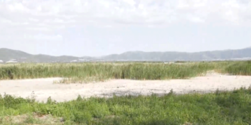 Η λίμνη Δοϊράνη εκπέμπει SOS- “Στέγνωσε” από την παρατεταμένη ανομβρία