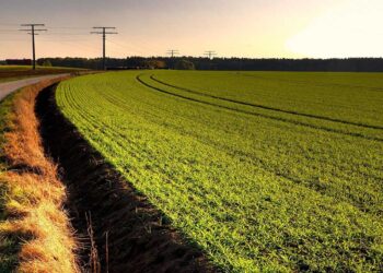 Κάλεσμα για δήλωση κτημάτων που υπάγονται στον Κήπο της Δ.Κ. Καισαρειάς