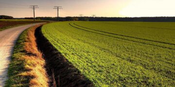 Κάλεσμα για δήλωση κτημάτων που υπάγονται στον Κήπο της Δ.Κ. Καισαρειάς