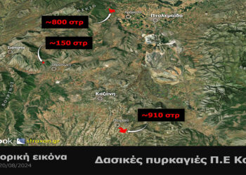 Στις τρεις πρόσφατες πυρκαγιές της Δ. Μακεδονίας κάηκαν 2000 στρέμματα, κυρίως χορτολιβαδικές και αγροτικές εκτάσεις