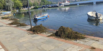 Συνεχίζεται ο καθαρισμός της λίμνης Καστοριάς