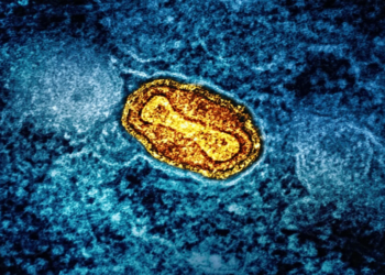 Ο ΠΟΥ κήρυξε παγκόσμια κατάσταση έκτακτης ανάγκης για την ευλογιά των πιθήκων