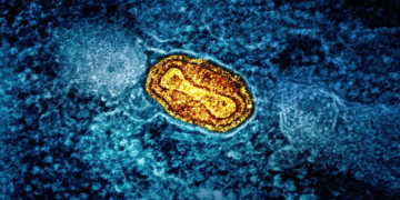 Ο ΠΟΥ κήρυξε παγκόσμια κατάσταση έκτακτης ανάγκης για την ευλογιά των πιθήκων