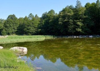 Ορειβατική εξόρμηση της Ο.Λ.Ε.: ΓΡΑΜΜΟΣ Λίμνη Μουτσάλια – Άνω Αρένα