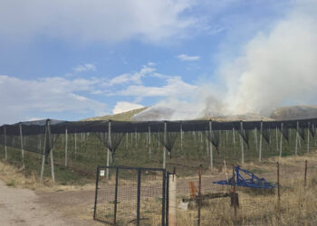 Φωτιά σε δύσβατη περιοχή προς το Παρχάρ Κομνηνών