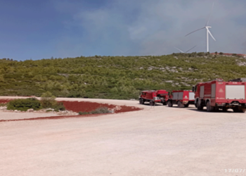 Πώς τα αιολικά πάρκα συμβάλλουν στην προστασία του δάσους