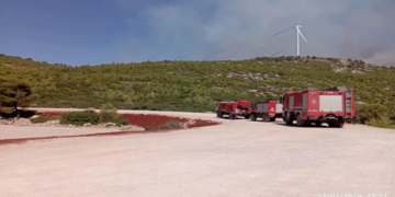 Πώς τα αιολικά πάρκα συμβάλλουν στην προστασία του δάσους