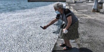Παγκόσμια ανησυχία για τα χιλιάδες νεκρά ψάρια στον Βόλο – Τι λένε τα διεθνή ΜΜΕ